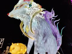 -淄博花灯齐彩城