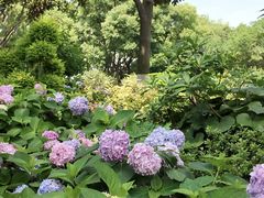 -常州古运河南大街文化旅游区-人民公园