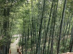 -巨石山景区