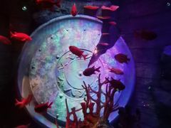 -沈阳海洋探索中心