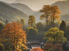 -塔川景区