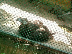 -广东茂名森林公园