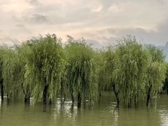 -武汉两江游览·夜游长江(汉口粤汉码头)