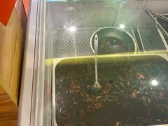 -鸿运兔·手撕烤兔(天府广场店)