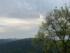 -铁山坪森林公园