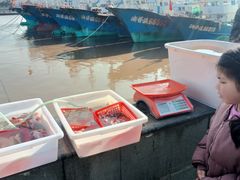 -沈家门渔港