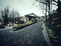 -山王坪喀斯特国家生态公园