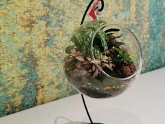 -TANING挞柠·手挞柠檬茶(顺德东乐旗舰店)