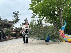 -西霞口神雕山野生动物世界