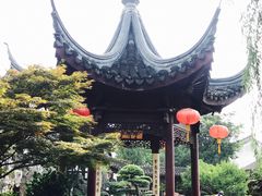 -檀园