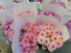 -循礼门鲜花花市(武汉循礼门店)