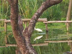 -香山湖公园