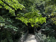 -西岭雪山大飞水景区
