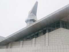 -盐城丹顶鹤湿地生态旅游区