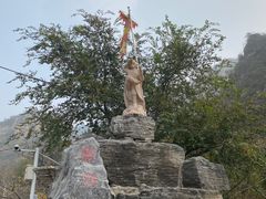 -大岭沟猕猴桃谷风景区