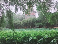 -四川大学(华西校区)