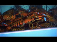 -阿田大虾(台湾街店)