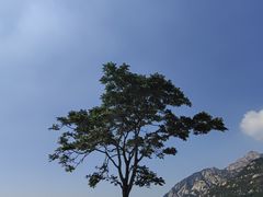 -青岛崂山太清宫