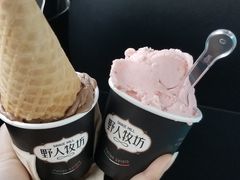 -野人先生现做冰淇淋(北京顺义祥云小镇店)