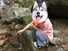 -藏龙百瀑风景区