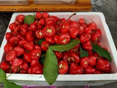 -老炳·七丛松甘草水果