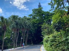 -深圳仙湖植物园-停车场