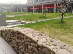 -陆家嘴世纪金融广场