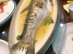 -金陵后厨·南京菜(新街口秣陵路店)
