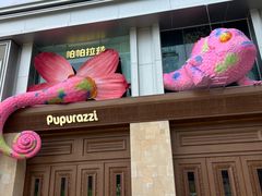 -帕帕拉兹宠物(亚洲旗舰店)