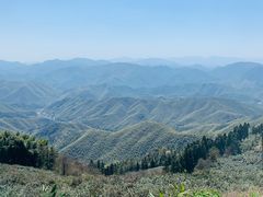 -莫干山风景区