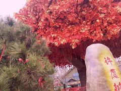 -沈阳方特欢乐世界