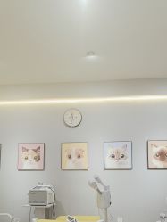-洗脸猫·洗脸吧