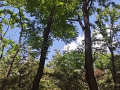 -森林公园(尖草坪区)