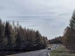 -塞罕坝国家级自然保护区