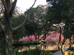 -无锡梅园公园