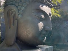 -杭州植物园