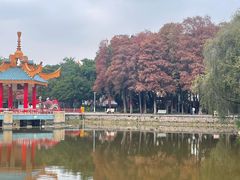 -金砂公园