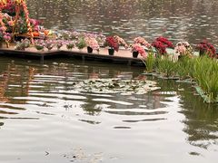 -翠湖公园
