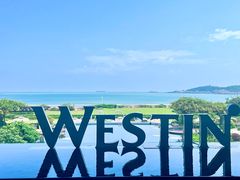 -舟山朱家尖绿城威斯汀度假酒店