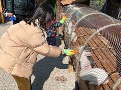 -珠海海泉湾神秘岛亲子乐园