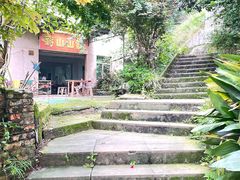 -南山植物园