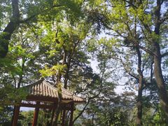 -广州市石门国家森林公园