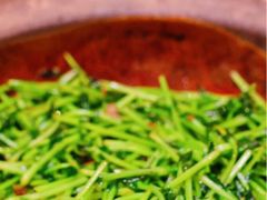 -天辣(金桥啦啦宝都店)
