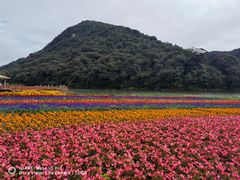 -广州市石门国家森林公园