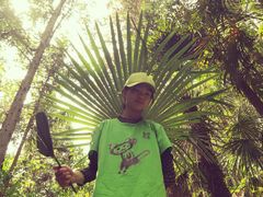 -素山寺森林公园