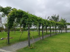 -上海长兴岛郊野公园