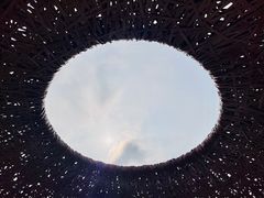 -东寨港红树林旅游区