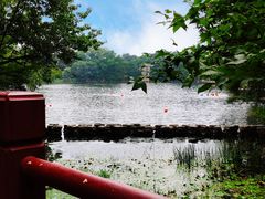 -紫霞湖公园