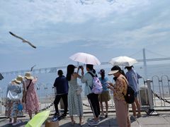 -大连星海广场音乐喷泉