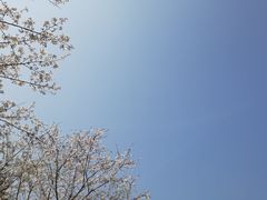 -新天地活力PARK